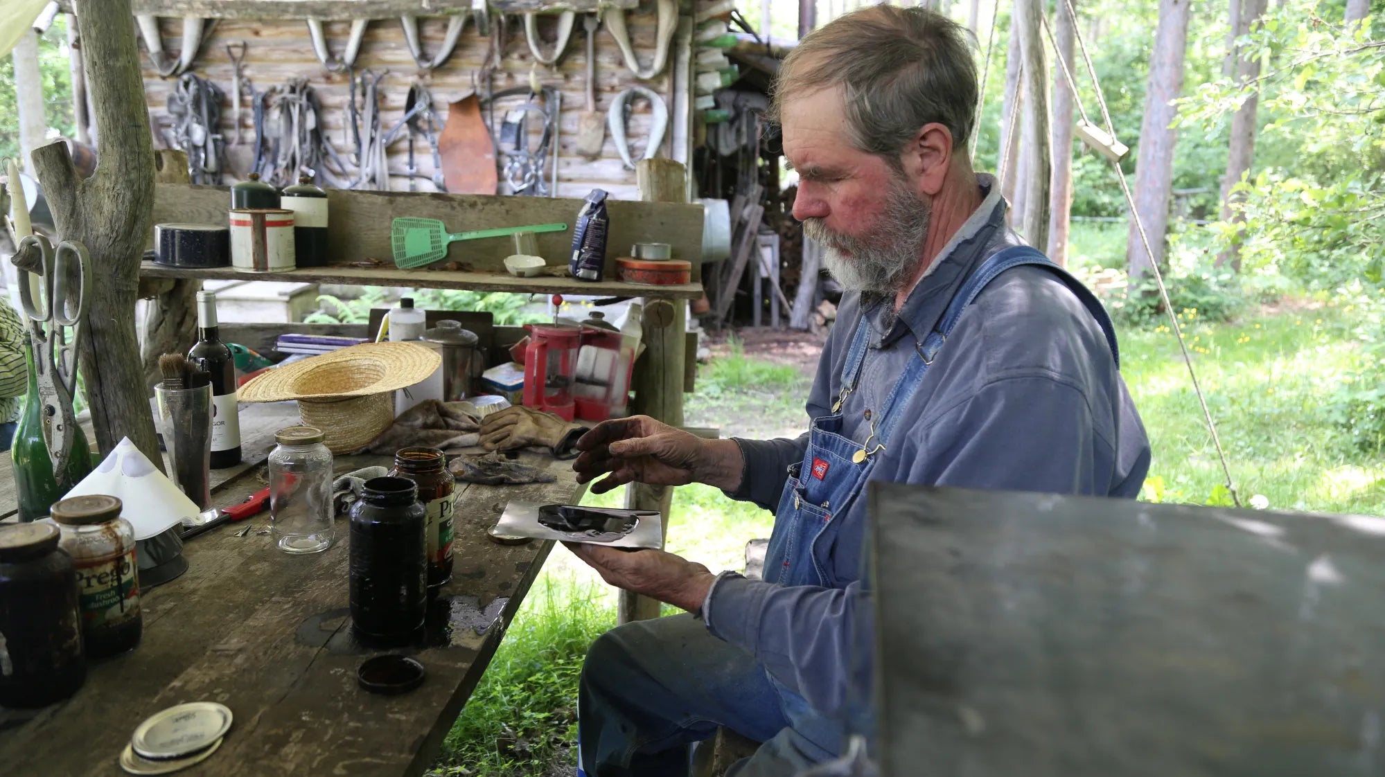Cows, Cameras, and Coffer’s Camp Tintype
